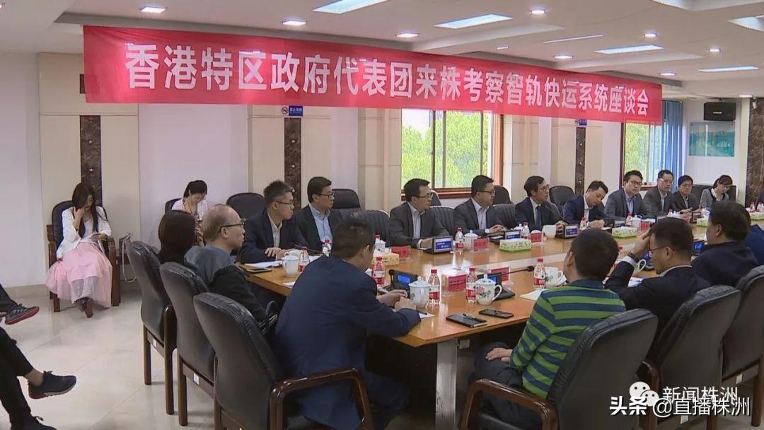 环保家居设计，提升家庭空间适应性的关键策略及策略实践