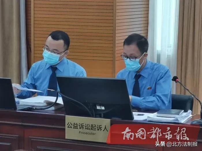 无人机在海洋生态保护中的关键作用