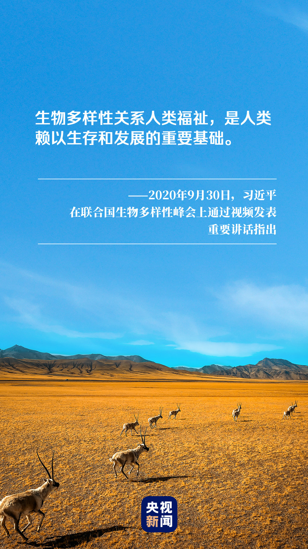 动手能力与探索精神共生，新时代人才的基石培养之道