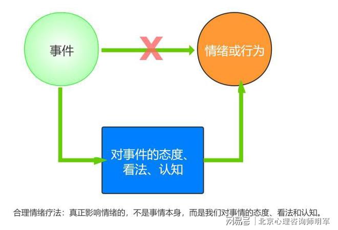 启发式学习与自我驱动，探索自我发展的核心动力之源