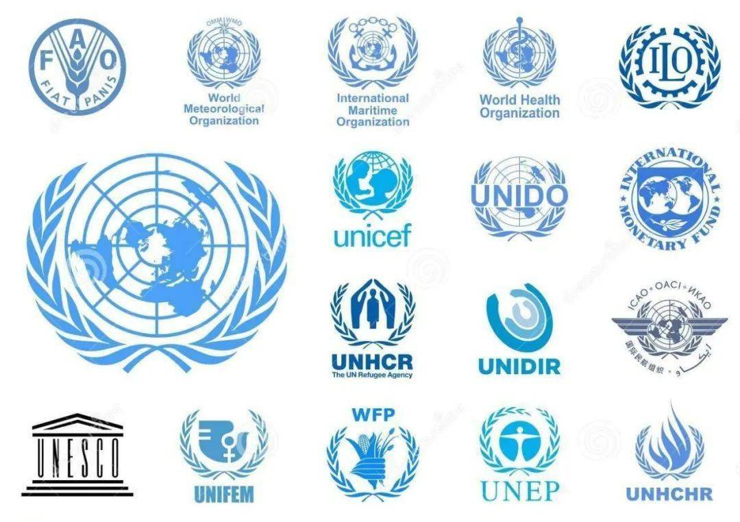 国际组织在全球公正中的影响力与角色探究