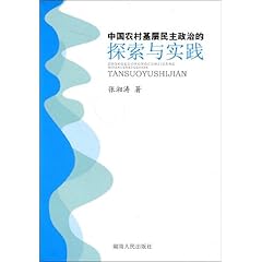 选举与民主政治基石