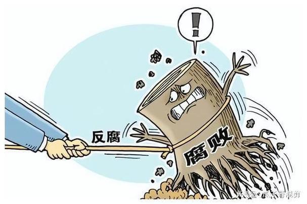 公共治理中的透明度与参与度，和谐社会构建的关键基石