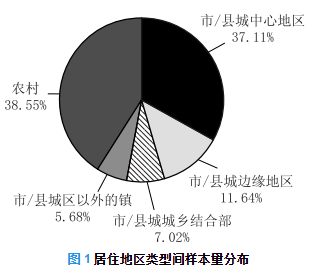 公共服务资源的平衡分配与管理，公平与效率的融合之道