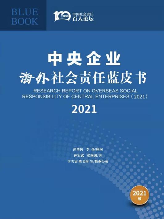 企业社会责任与全球可持续发展，共筑美好未来之梦