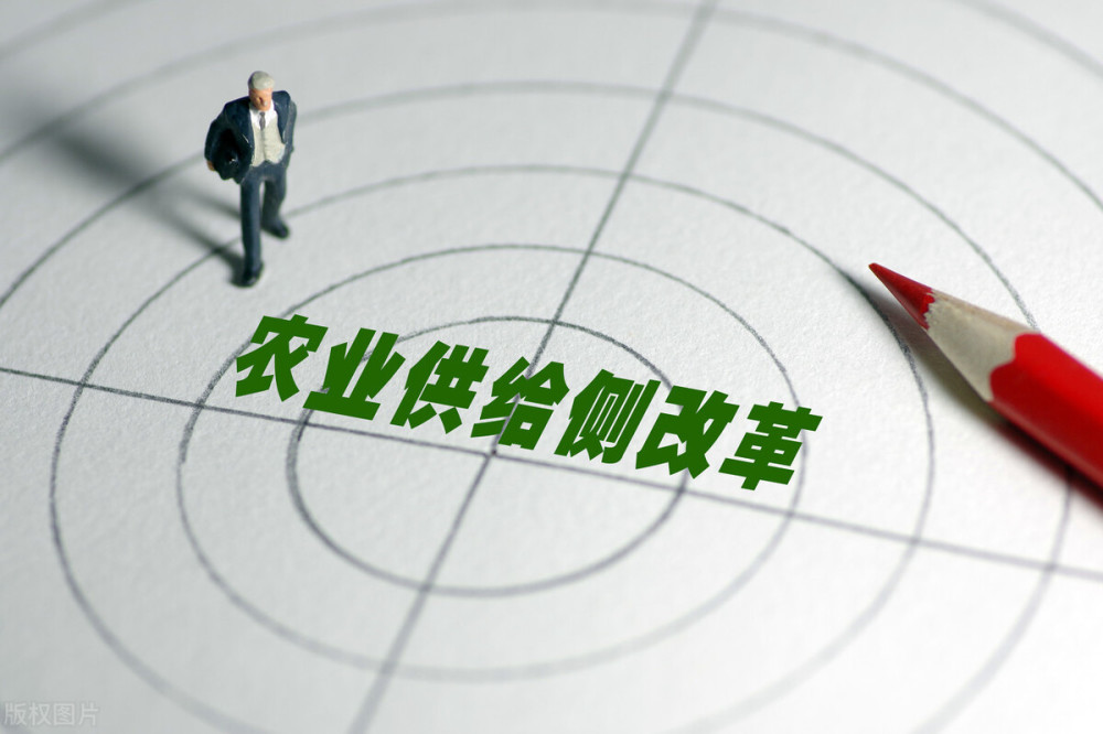 民众责任感与社会发展的紧密关联