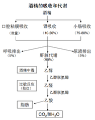 碧水青山 第5页