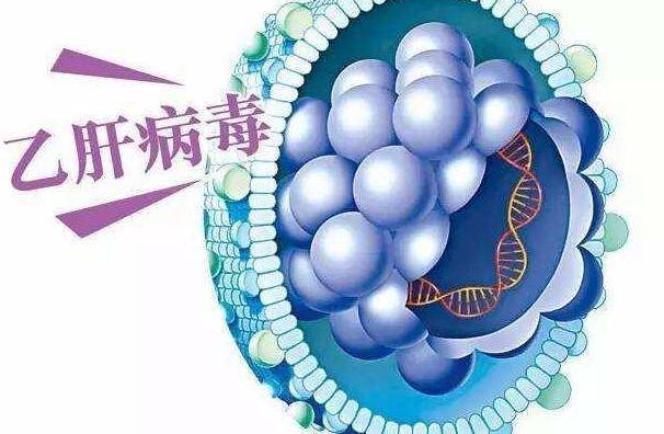 日常食物与免疫系统健康关联揭秘