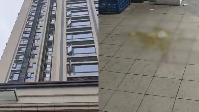 上海小区高空抛大便事件，探究背后的原因及解决方案