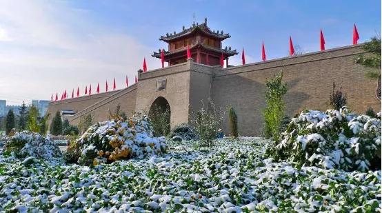 乡土剧里的地方特色与时代印记，情感交织与社会变迁的探讨
