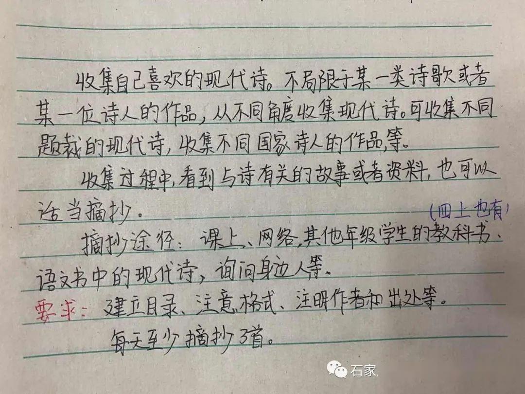 现代诗歌，社会反思与个人情感的交织表达
