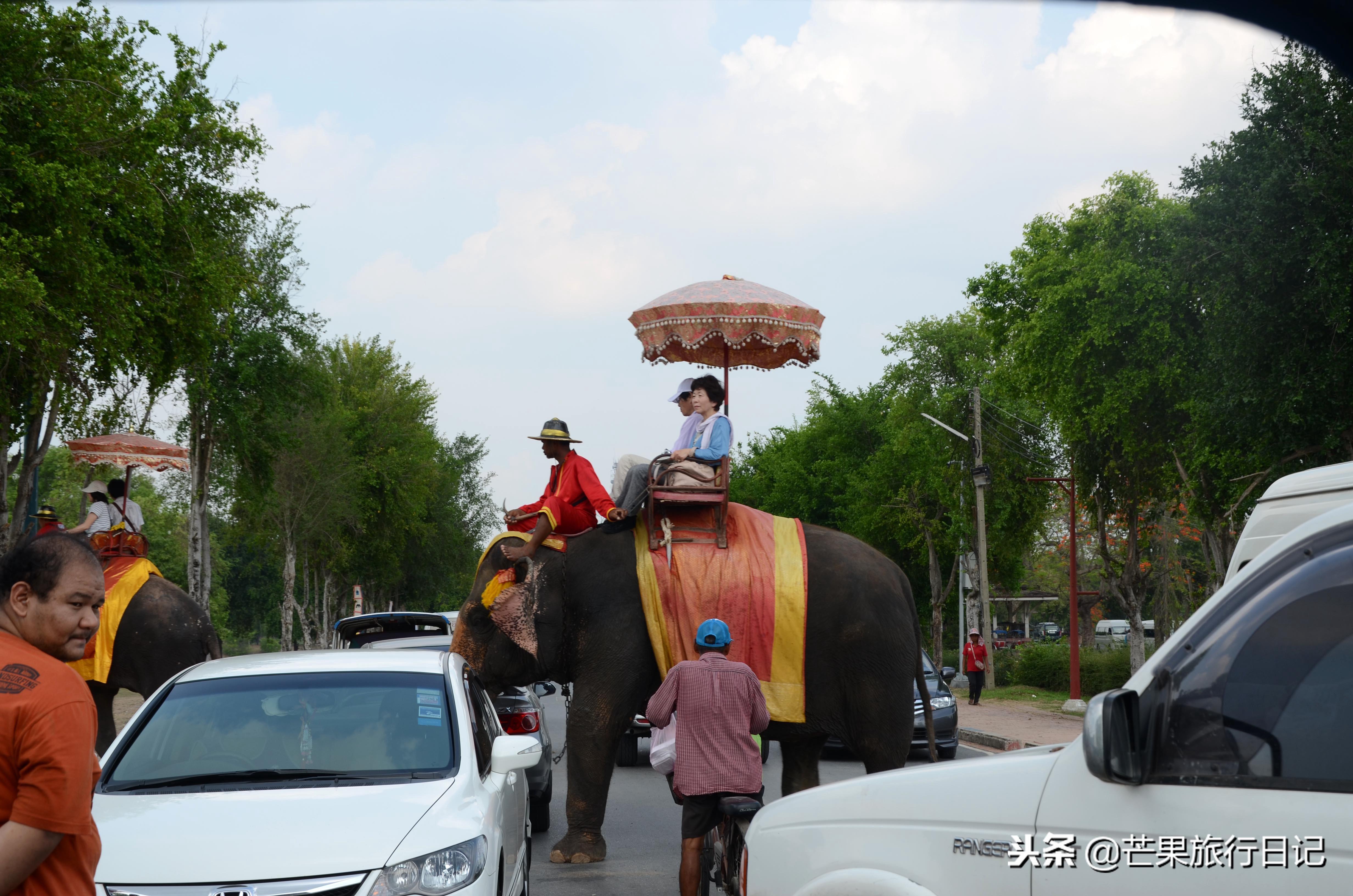 探访全球独特水上市场，领略异域风情之旅