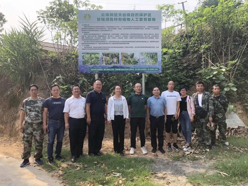 探访全球最古老植物园，自然奇迹之旅揭秘