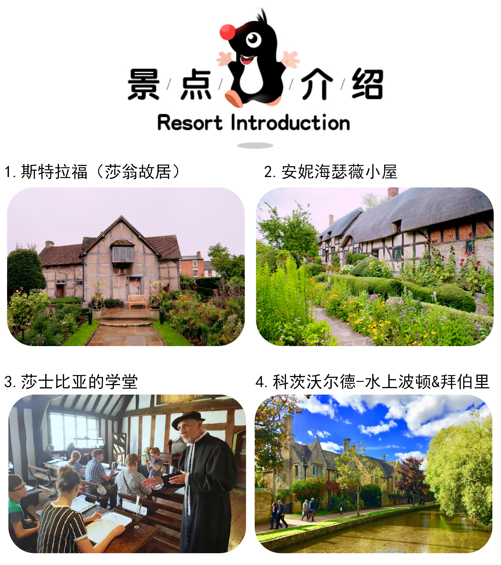 漫步世界浪漫小镇，田园生活的诗意与宁静之旅