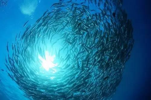 深海秘境，探寻沉船遗迹的奇幻之旅