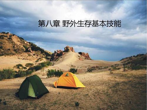 荒野生存技能与野外露营，传统智慧的探险之旅