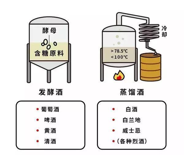 发酵技巧与原理，提升食物风味探索