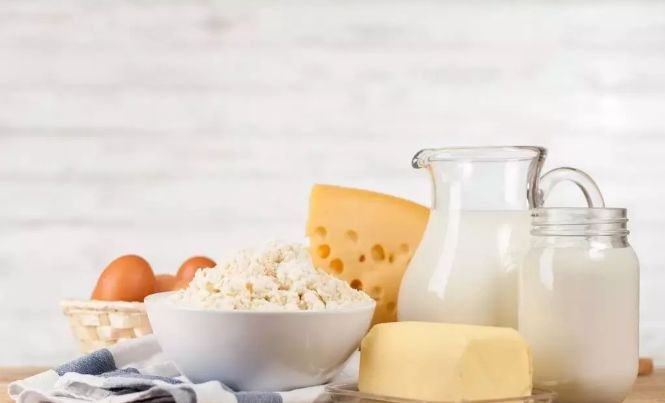 奶酪探秘，风味之旅体验各类奶酪与乳制品的魅力