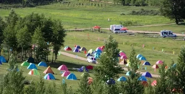 山间小道自然之旅，草木葱茏，清新空气之旅