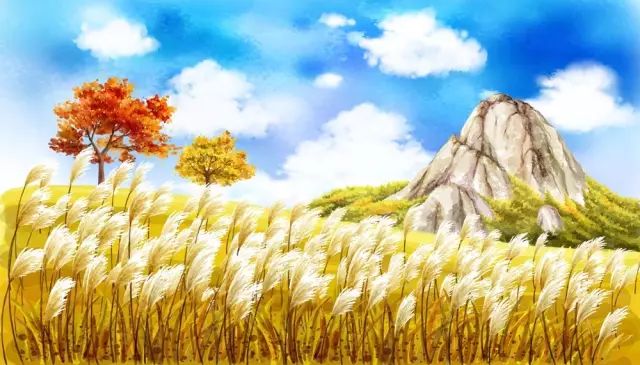 轻风麦香，田野诗意画卷