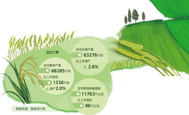 精准农业应对全球粮食安全挑战的策略探讨