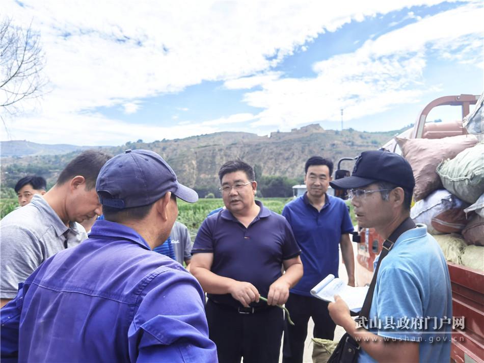 个人与集体的社会责任感表达之道