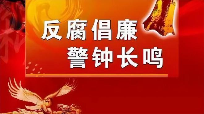 反腐败斗争中的公民参与与监督作用探究