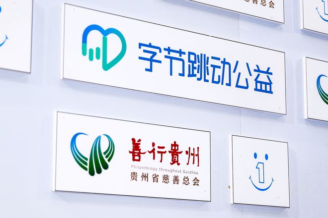 社会公益组织的作用与社会贡献解析