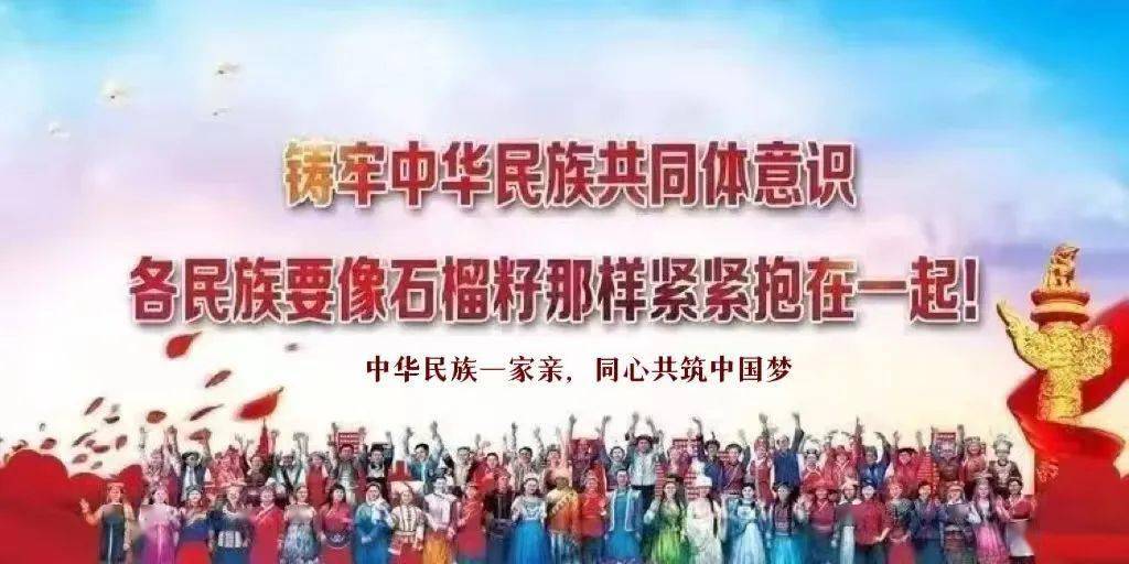 民族团结中的共同价值观与社会责任，共建和谐社会的力量与担当