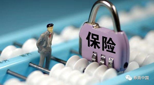 金融市场中的短期投机与长期投资策略，差异理解与应用探讨