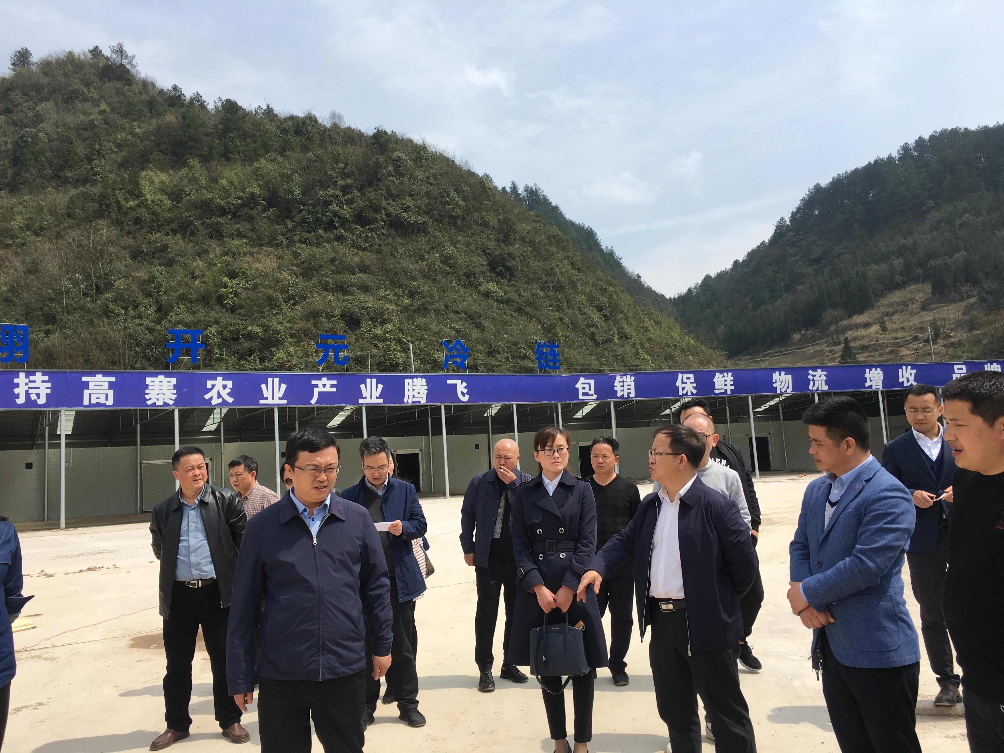 资本运作策略，提升企业市场竞争力的关键路径