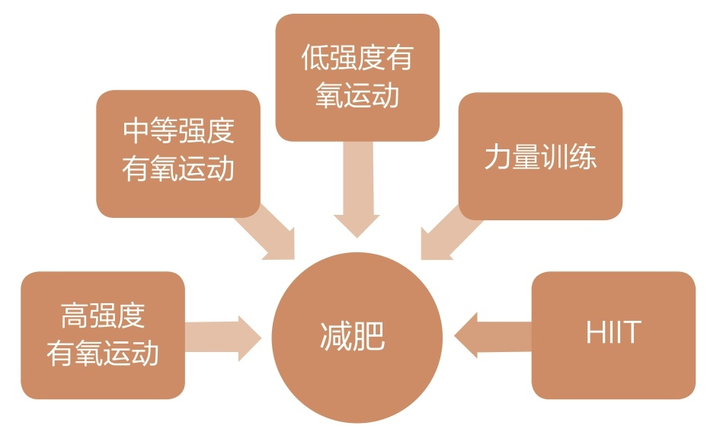 脂肪燃烧与合理运动结合策略，燃烧脂肪的最佳途径