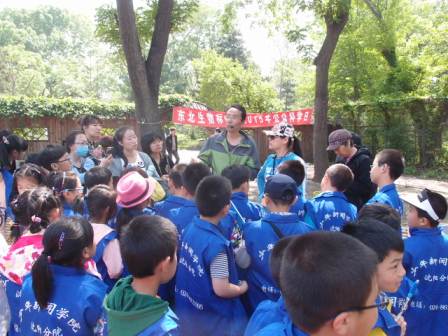 孩子与自然，探索学习、环境互动与保护的重要性