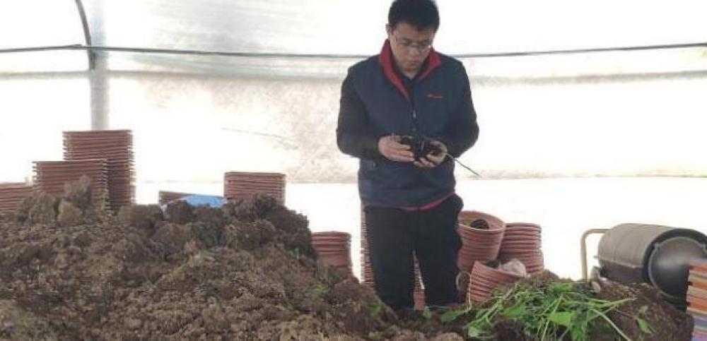 跨文化旅行体验与地域认同的交融之旅