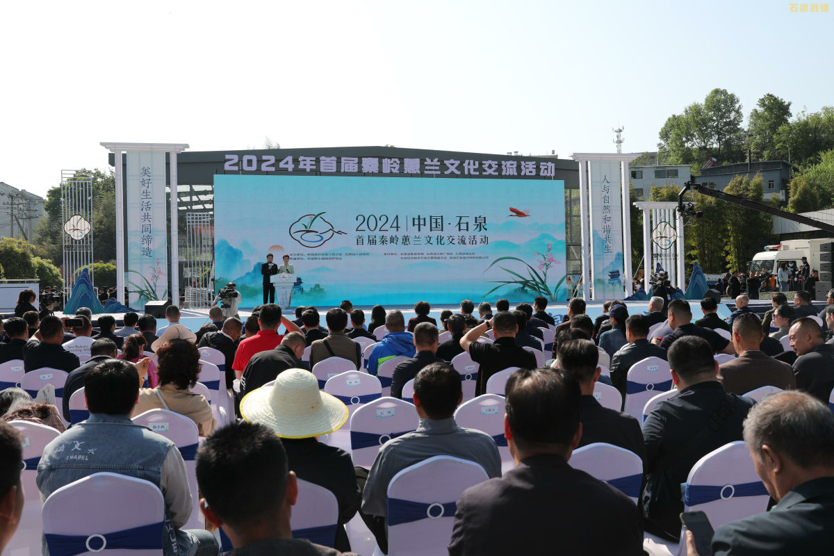 户外文化活动中的社会互动与文化交融