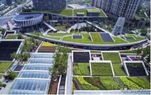 城市文化与公共空间，社交功能的探索