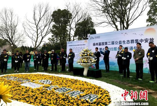 社会活动中的情感表达与文化认同，交织纽带的探究