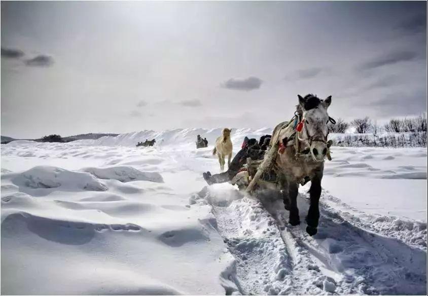 穿越极地冰雪，挑战与魅力的探险之旅