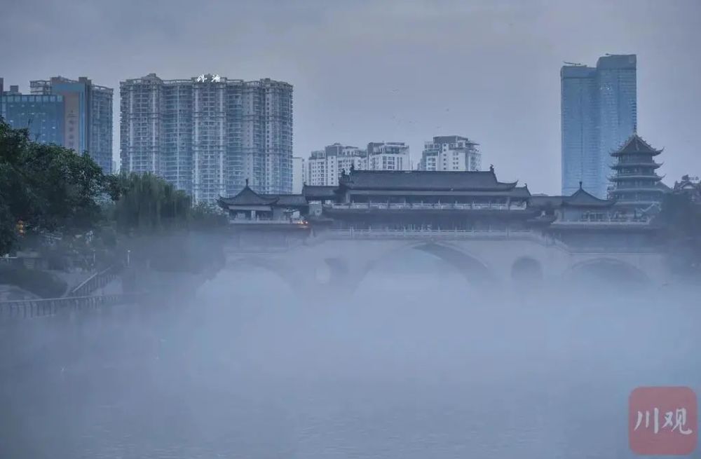 晨曦薄雾中的森林仙境之旅