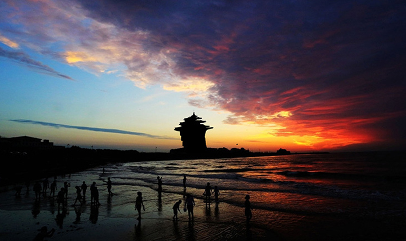 夜晚公园，月光与街灯交织的美景