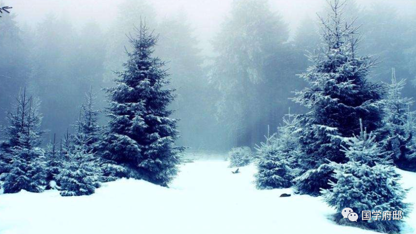 冬季山间雪舞，世界静谧如画