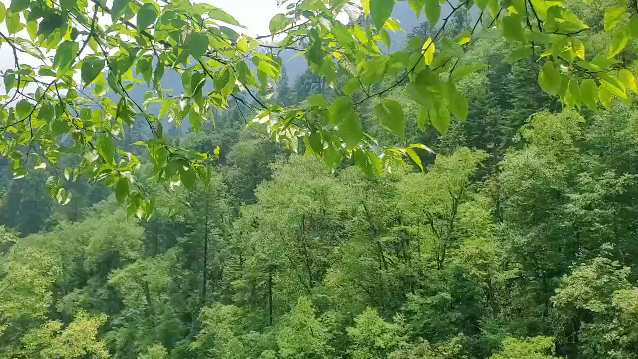 山间的风，自然呼吸与生命律动的交响曲
