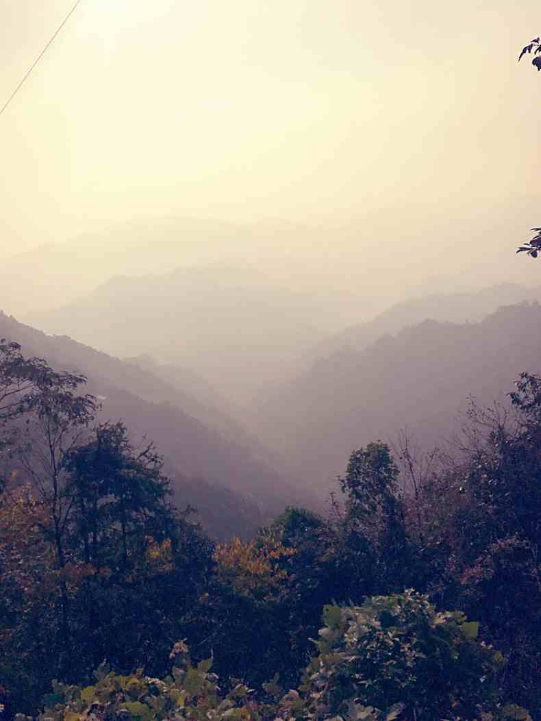 清晨雾漫山川，诗意画卷的朦胧之美