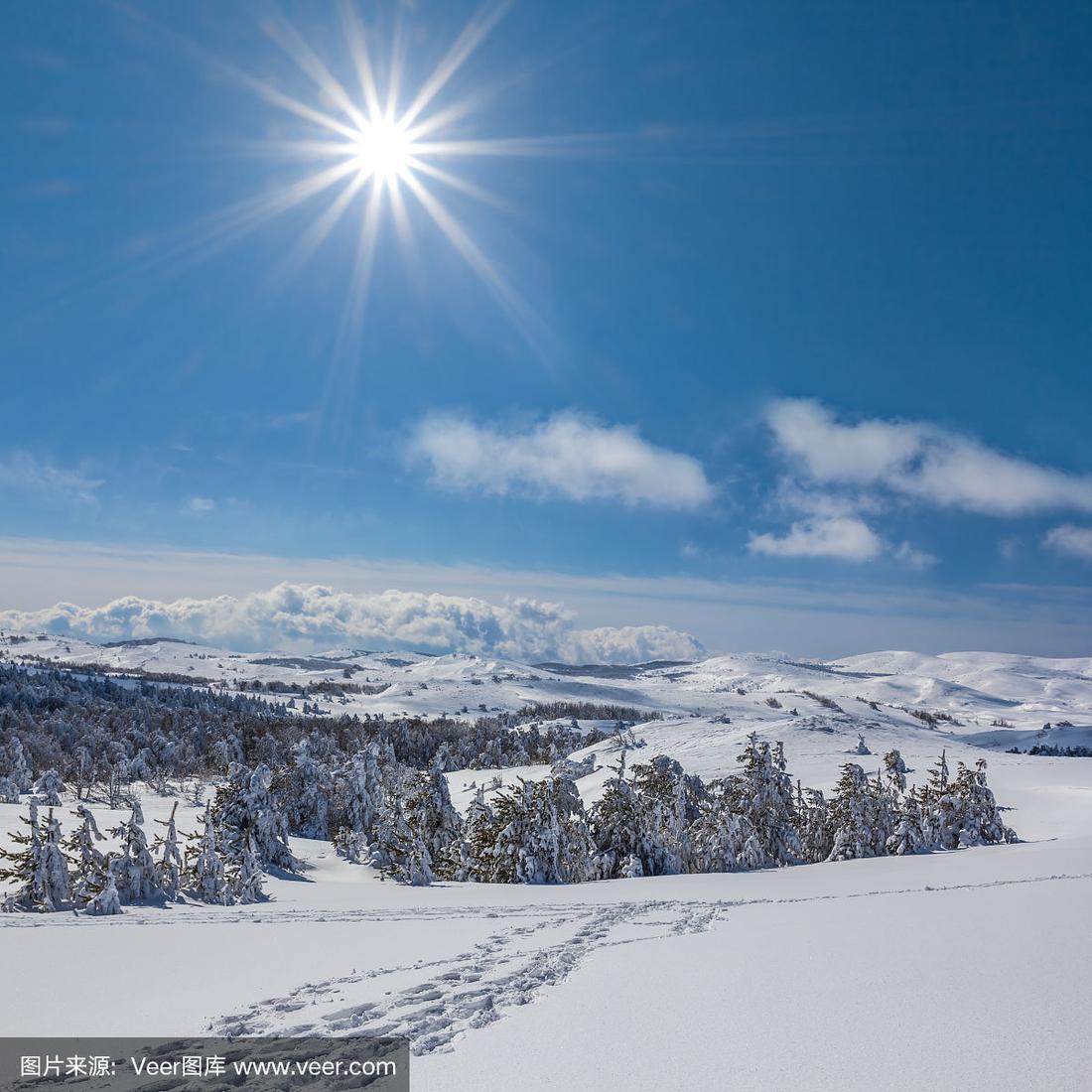 冬季雪地阳光下的闪耀瞬间