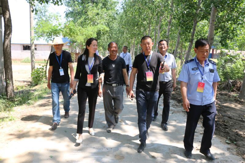 实践与理论结合，提升问题解决能力的关键之道