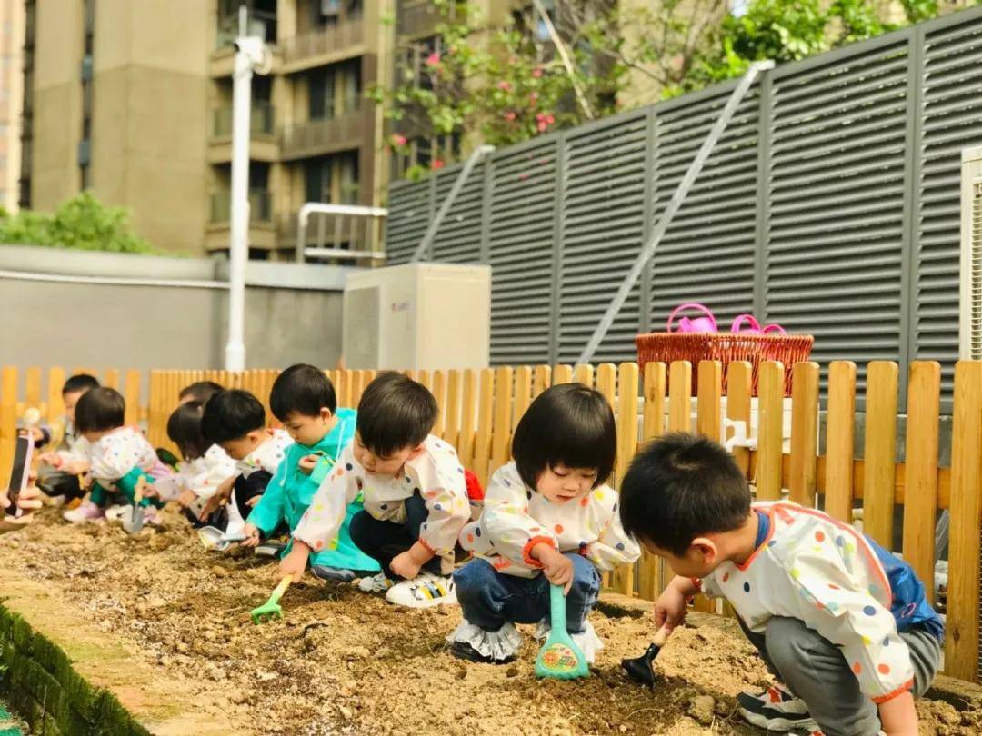 自然观察与科学教育，相辅相成之道探索