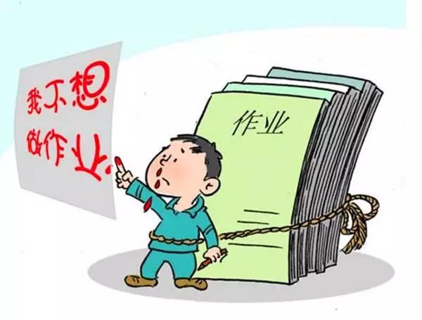 孩子独立生活能力培养与未来职场竞争力提升的重要性