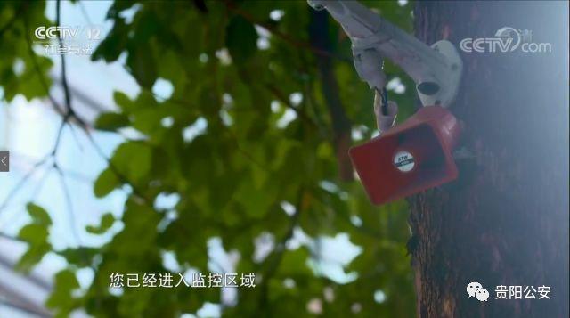 大数据对社会治理的影响与挑战，探索与应对之道