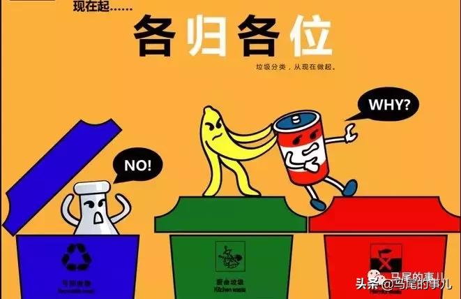 未来城市智能化垃圾分类与处理的实现之道