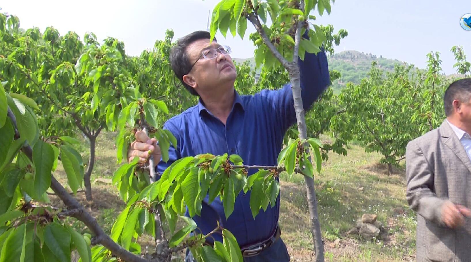 智能农业实现精准灌溉与施肥的技术探讨